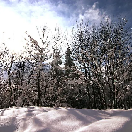 Zueschener Bauernstuben بيت ضيافة