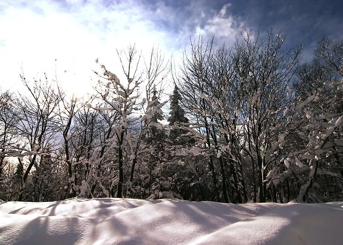 Zueschener Bauernstuben ゲストハウス