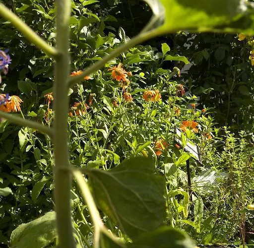 Zueschener Bauernstuben 3* ヴィンターベルク